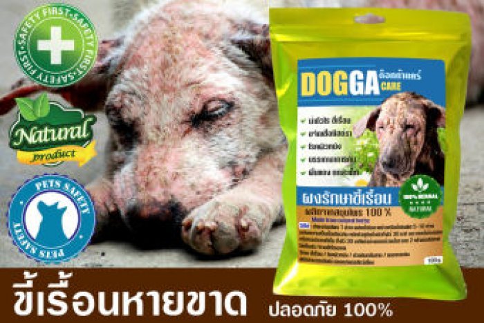 ✅ ผงรักษาขี้เรื้อน✅ DOGGA ผงสมุนไพร โรคผิวหนัง ผื่นแดง ลดคัน ดับกลิ่นสาป ขนาด 100 กรัม????????✅