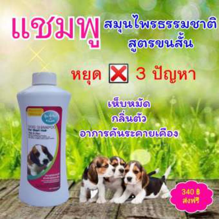 MaxCare แชมพูสมุนไพรสุนัขแมว (600ซีซี.) สูตรขนสั้น Organic Dog Shampoo แชมพูผสมครีมนวด กำจัดเห็บหมัด เห็บหมัด อาการคัน เกา ระคายเคือง ผื่นแดง ตุ่ม สารธรรมชาติ ปลอดภัย อ่อนโยน สมุนไพร แผล เชื้อรา เชื้อ