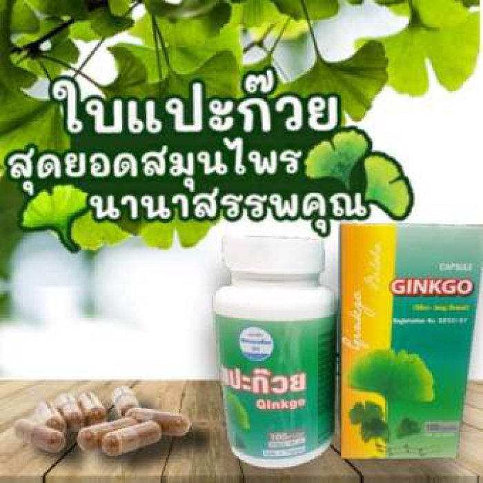 แปะก๊วย 100 แคปซูล (สมุนไพรคงคา) ช่วยให้มีสมาธิความจำดีขึ้น และลดความเครียด แปะก๊วยสกัด แปะก๊วยแคปซูล