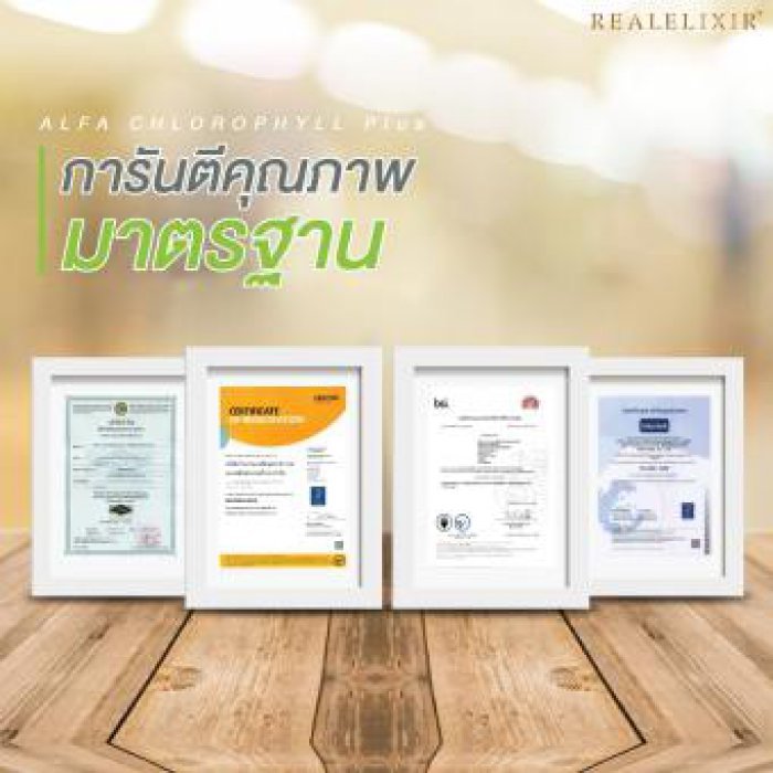 Real Elixir Alfa Chlorophyll Plus ( คลอโรฟิลล์ )