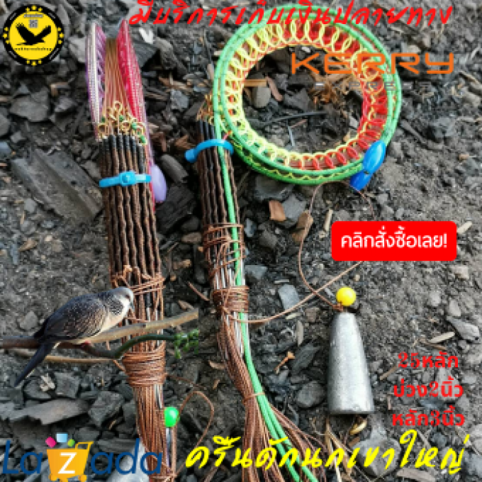 ครืนดักนกเขา บ่วงดักนกเขา ครืนนกเขาใหญ่ ครืนนก ครุนนกเขาใหญ่ 25หลัก บ่วง2นิ้ว หลักยาว3นิ้ว รังเก็บ ตะกั่วถ่วง พร้อมส่ง