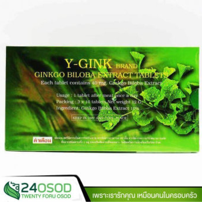 Y GINK แปะก๊วย 40 MG 30 เม็ด