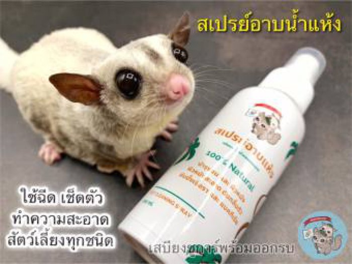 [100ml.] สเปรย์อาบแห้ง สเปรย์อาบน้ำแห้ง เช็ดตัว แชมพู สบู่ สัตว์เล็ก สัตว์เลี้ยง ชูการ์ ชูก้า กระรอก ดอร์เมาส์ แฮมสเตอร์