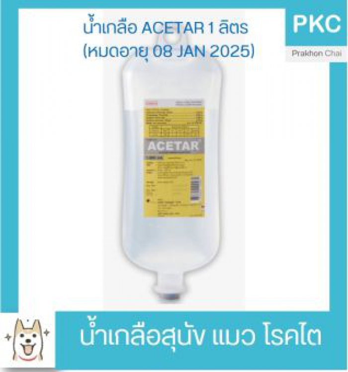 11.11 วันเดียว ลดแรง!!! น้ำเกลือ ACETAR 1000 ml สุนัขโรคไต แมวโรคไตเก็บเงินปลายทางได้