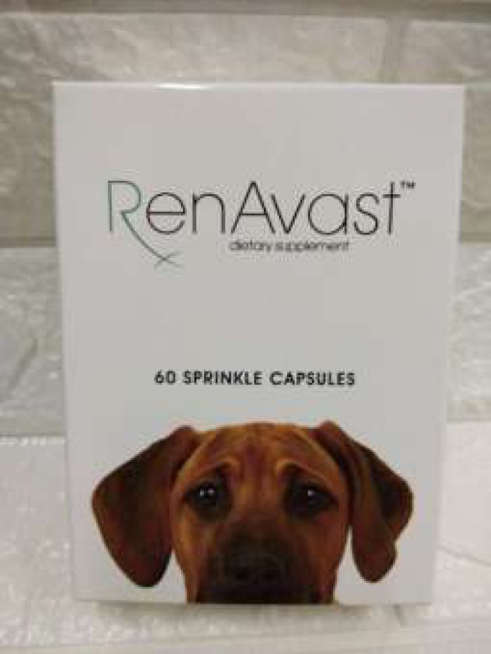 RenAvast DOG (60 แคปซูล) อาหารเสริม บำรุงไตสุนัข สุนัขไตเสื่อม ค่าไตขึ้น บำรุงระดับเซลล์ (Exp 08/2022)