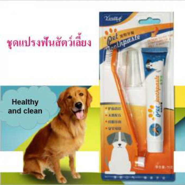 ชุดแปรงสีฟันสัตว์เลี้ยง ชุดยาสีฟันหมาและแมว แปรงสองหัว ยาสีฟันรสวานิลลา