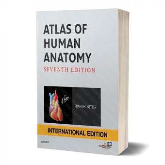 Netter - Atlas of Human Anatomy, 7ed International Edition