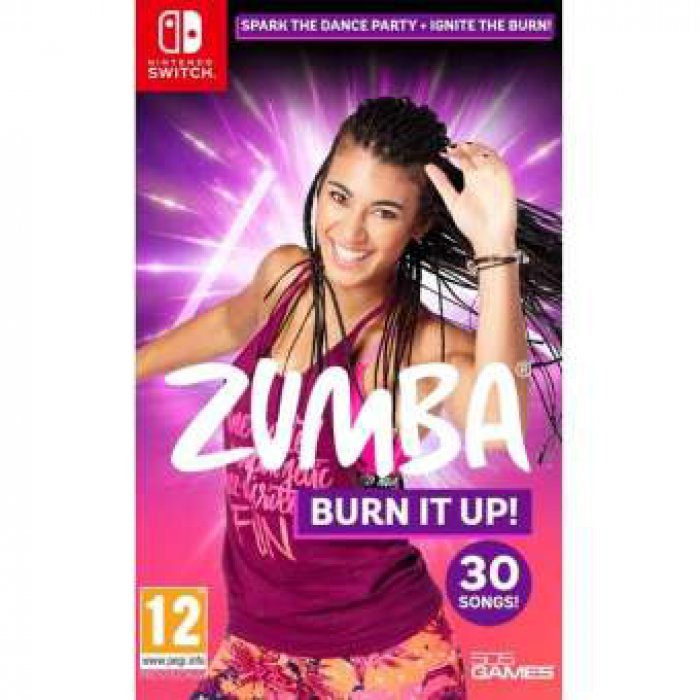 nintendo switch zumba burn it up ( english zone 2 )